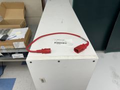 Generic 1819 2FT RED C14-C13 P-LOCK 10A/250V 2FT RED